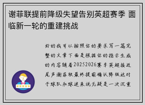 谢菲联提前降级失望告别英超赛季 面临新一轮的重建挑战 谢菲联提前降级失望告别英超赛季 面临新一轮的重建挑战