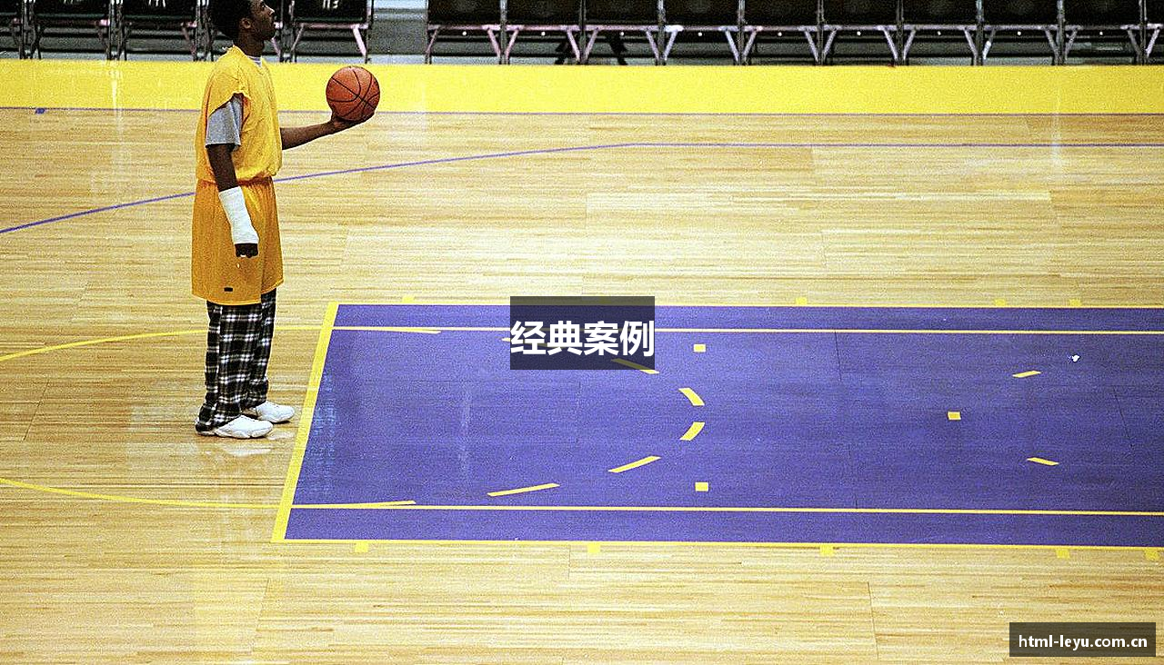 经典案例
